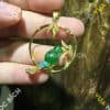 Mặt Dây Chim Ngọc Bích Nephrite Jade Bọc Vàng (MD100) 1 Mặt Dây Chim Ngọc Bích Nephrite Jade Bọc Vàng (MD100) 1